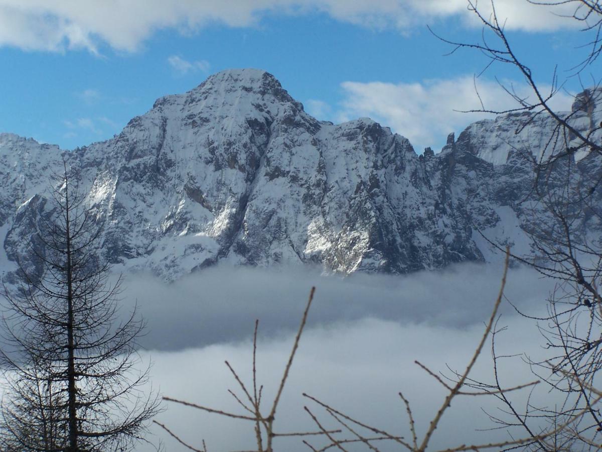 Апартаменты Balcone Sulle Dolomiti Комелико-Супериоре Экстерьер фото