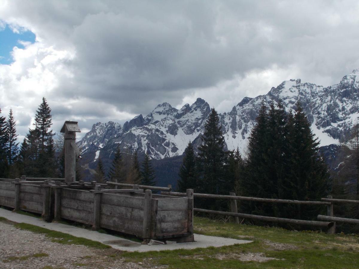 Апартаменты Balcone Sulle Dolomiti Комелико-Супериоре Экстерьер фото