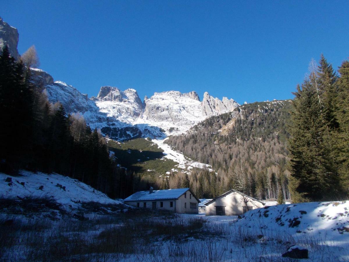 Апартаменты Balcone Sulle Dolomiti Комелико-Супериоре Экстерьер фото