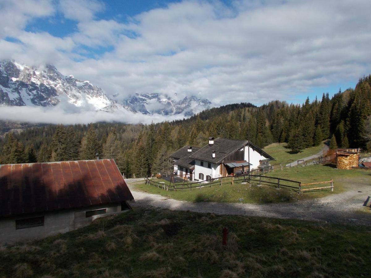 Апартаменты Balcone Sulle Dolomiti Комелико-Супериоре Экстерьер фото